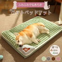 送料無料 犬 ベッド ふわふわ 小型犬 ペットベッド あったか 犬のベッド 洗える 枕付き おしゃれ 暖かい かわいい 犬用 猫用 取り外せるカバー 高反発 介...