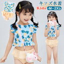 ベビー水着 女の子 水着 セパレート 上下セット フリル ビキニ 女児 キッズ 女の子水着 上下セット かわいい キッズ水着 2点セット 子供水着 ガールズ 水着 スクール水着 プール 海水浴 ビーチ 温泉 水遊び 練習用 幼稚園 こども みずぎ 赤ちゃん レッスン スイムウェア