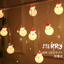 照明6m LEDライト 丸型 サンタクロースor雪だるま ーVer2ー イルミネーション クリスマス 飾り付け イルミネーション LED ワイヤー USB充電式 6m 40球 防水