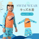 キッズ 水着 男の子 セパレート 半ズボン 子供 水着 幼稚園 保育園 上下セット 恐竜柄 帽子付き 日焼け対策 子供水着 キッズ水着 男の子水着 男児用 水遊び ジュニア キュート スクール プール ビーチ 海水浴 練習用 100-150cm