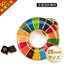 【領収書発行可!!】 sdgsバッジ ピン留めタイプ 正規品 留め具付き sdgs バッチ ピンバッチ SDGs 会議 着用義務 イメージアップ 国連ガイドライ...