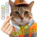 \涼感満点!クールリングで快適な夏!/先着20名限定!クールリング 冷感リング アイスクールリング ネッククーラー 冷却 ネック ネック型 携帯 猫用品 ペット...