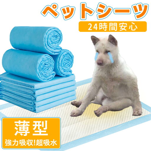 【家をもっときれいに、ペット用尿パッド大推薦!】超薄型 ペットシーツ レギュラー おしっこシート 犬 猫 トイレ シーツ シート ペットシーツ 薄型 ペットシーツ 犬 猫 トイレ シーツ シート ペットシーツ 高吸収性 トイレシート ペットシーツ 犬 トイレシート トイレシーツ 【家をもっときれいに、ペット用尿パッド大推薦!】超薄型 ペットシーツ レギュラー おしっこシート 犬 猫 トイレ シーツ シート ペットシーツ 薄型 ペットシーツ 犬 猫 トイレ シーツ シート ペットシーツ 高吸収性 トイレシート ペットシーツ 犬 トイレシート トイレシーツ