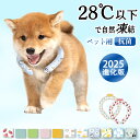 涼しい夏!犬のお出かけ必需品!アイスクールリング ネッククーラー クールリング キッズ 子犬 アイスネック 冷感リング クールネック ひんやりリング 冷却 リン...