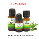 エッセンシャルオイル 精油 天然アロマオイル サイプレス 5ml