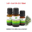 エッセンシャルオイル 精油 アロマオイルシダーウッド アトラス 15ml