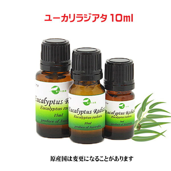 エッセンシャルオイル 精油 天然アロマオイルユーカリラジアタ　10ml