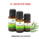 エッセンシャルオイル 精油 天然アロマオイルユーカリラジアタ　10ml