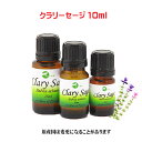 エッセンシャルオイル 精油 天然 アロマオイル クラリーセージ 10ml