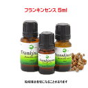 エッセンシャルオイル 精油 アロマオイルフランキンセンス 5ml