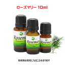 エッセンシャルオイル 精油 天然 アロマオイル ローズマリー 10ml