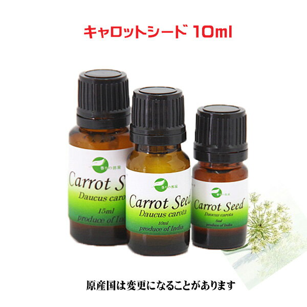 エッセンシャルオイル 精油 アロマオイルキャロットシード 10ml