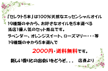 エッセンシャルオイル 精油 アロマオイル お試し セット アロマセット 人気 プレゼント ギフト 安い 選べる ラベンダー レモングラス、スペアミント、ローズマリー、ユーカリラジアタ【送料無料】セレクト5本