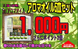 エッセンシャルオイル 精油 アロマオイル お試し セット アロマセット 人気 プレゼント ギフトシトロネラ シナモンリーフ ユーカリシトリオドラ ライム ローズマリー【 送料無料 】アロマオイ…