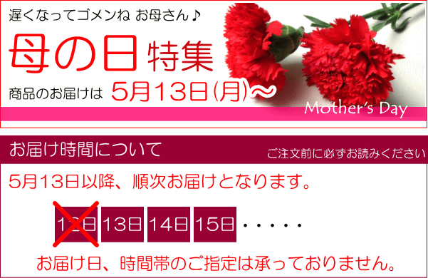 アジサイ マジカルノブレス 5号鉢サイズ 鉢植...の紹介画像2