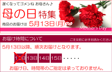 【送料無料】金賞受賞♪白色にピンクのラインがエレガント♪アジサイ「未来」5号鉢サイズ 鉢植え【薫る花】【花 フラワー 鉢花 プレゼント ギフト 贈り物 紫陽花 あじさい ハイドランジア 母の日ギフト 母の日特集 遅れてごめんね】