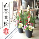 迎春門松 1.0m コモ巻き 天然素材 1対セット 送料無料...