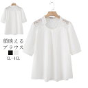 チュニック 半袖 綿100% ブラウス シャツ レディース トップス レース 切り替え シャツブラウス ロング 50代 40代 綿シャツ ロングシャツ プルオー...
