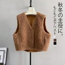 ボアベスト レディース ベスト 前開き ボア ジャケット 秋冬 ショート アウター ブルゾン 秋 冬 きれいめ ボアコート ノーカラー トップス 羽織り 羽織も...