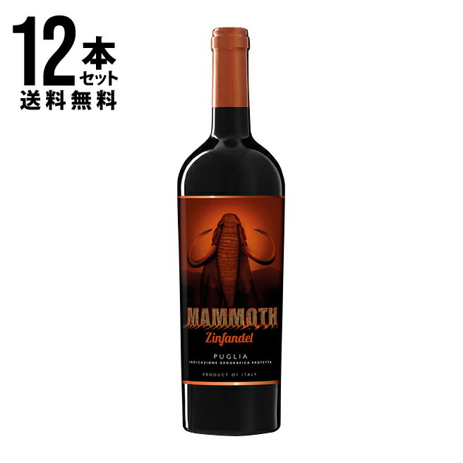 マーレ マンニュム マンモス ジンファンデル 750ml×12本セット 送料無料 ギフト プレゼント フルボディ セット パーティー 肉料理