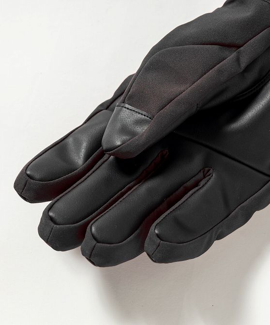 楽天市場】phenix フェニックス Snow Design Panel Mens Gloves スノー