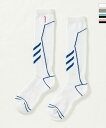 phenix フェニックス Phenix Ski Womens Line Socks フェニックス スキー Wsラインソックス 靴下【WOMEN】