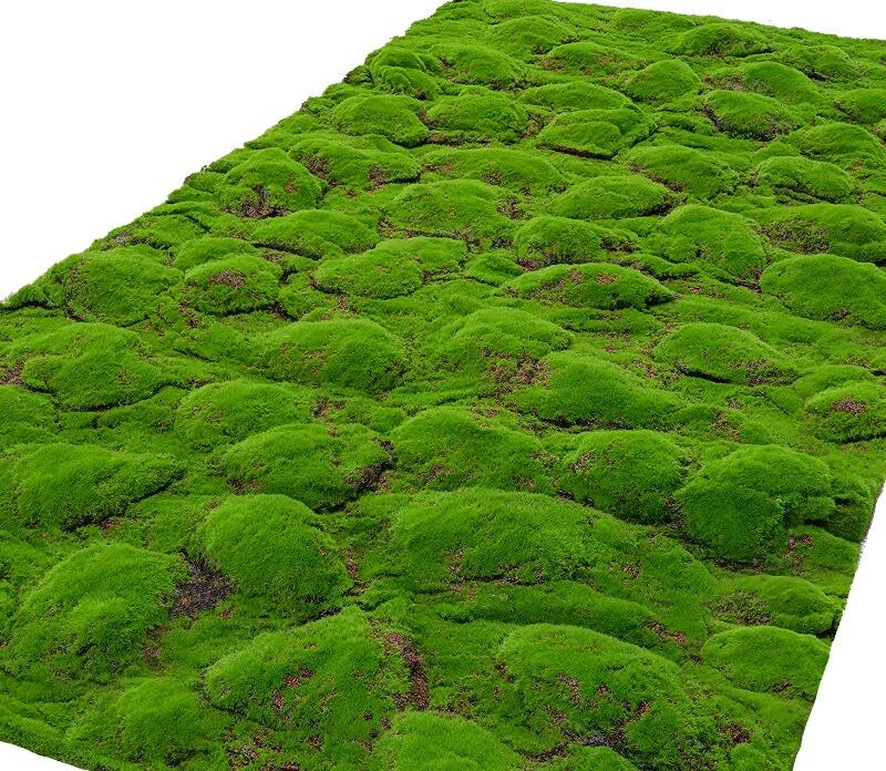 山丘草モス 人工苔 苔マット フェイクグリーン 人工植物 造花 芝生マット 人工苔マット 人工芝 シート 芝生マット 人工観葉植物 モスマット 苔皮 DIY 室内室外 インテリア ガーデン装飾 盆栽工芸装飾 人工植物のマット 200cm*100cm
