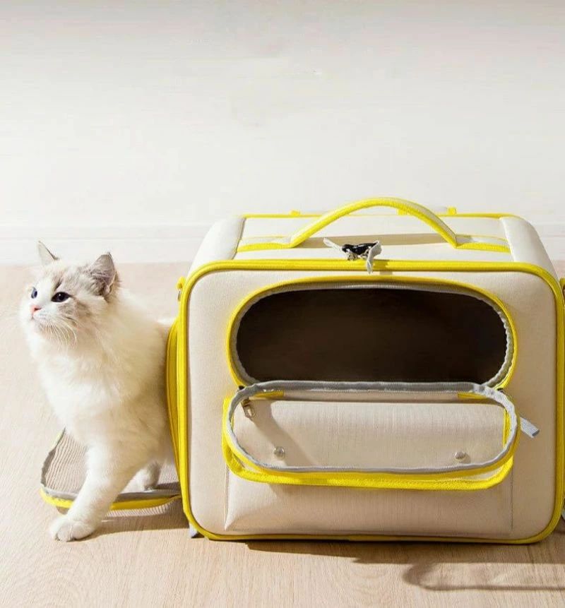 ペットキャリーバッグ 折りたたみ 大きめ リュック ペットキャリー バック ペットバッグ キャリーバッグ 猫用 犬用 ペット用品 小型犬 中型犬 トリミング 防災 通院 病院 ドライブ 避難用 メッシュ 軽量 折り畳み 送料無料