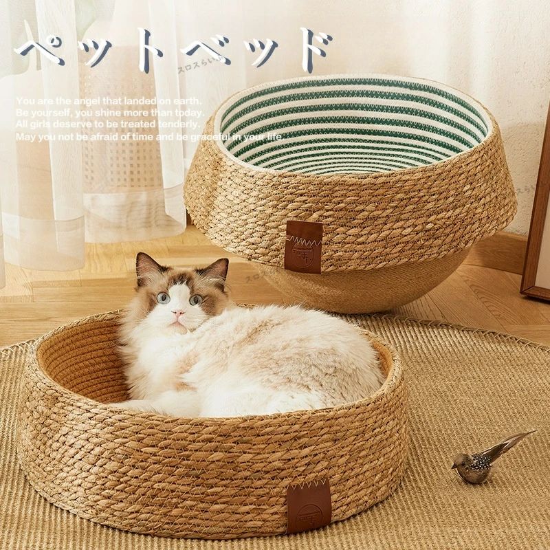 ǭ�٥å� �ڥåȥ٥å� ƣ�Ԥ� ǭ���� �ݷ� ǭ�� ������ ���٥å� �ڥåȥ٥å� �饦��� ���� ���Ԥ�ʪ ŷ���Ǻ� ����åȥϥ��� ǭ�ޤȤ� ���å�����դ�...