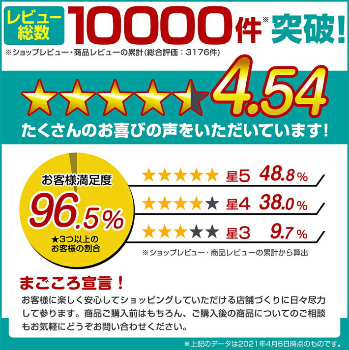 ステッパー 1年保証 エアロライフ コアビクサー ダイエット 有酸素運動 室内運動 室内 エクササイズ お腹 引き締め くびれ ウエスト ひねり 脂肪燃焼 健康 器具 下半身ダイエット 宅トレ 在宅 テレワーク 骨盤 姿勢