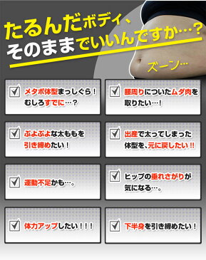 エアロライフ 内転筋コアエクサ 内転筋 トレーニング エクササイズ 内転筋 太もも 痩せ グッズ スライダーボード 下半身 ダイエット マシン バランスボード 体幹 トレーニング 有酸素運動 室内