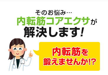 エアロライフ 内転筋コアエクサ 内転筋 トレーニング エクササイズ 内転筋 太もも 痩せ グッズ スライダーボード 下半身 ダイエット マシン バランスボード 体幹 トレーニング 有酸素運動 室内