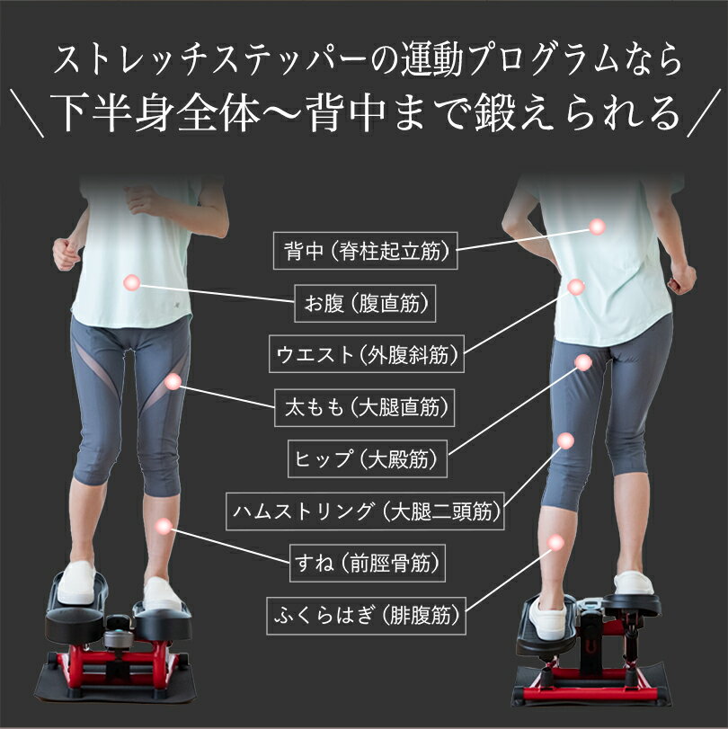 【新商品】ストレッチステッパー ダイエット 筋トレ 有酸素運動 ストレッチ 1台でオールインワン 静音 エアロライフ 足踏み 筋トレ 美脚 美姿勢 ウエスト 体幹 脂肪燃焼 宅トレ サイドステッパー ステッパー 運動不足 解消 3