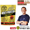 プロテイン 720g ゴールドジム ホエイプロテイン 0.72kg 高たんぱく 低脂肪 WPI ホエイ BCAA ホエイペプチド ビタミンB群 体作り 筋トレ ダイエット チョコ ヨーグルト ストロベリー カフェオレ クッキー&クリーム