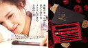 高級 化粧筆 セット ケース 付 舞子 ブランド 有名 伝統合芸 メイクアップアーティスト絶賛! 高級 伝統工芸品 豊橋筆 伝統工芸士 山崎亘弘 化粧筆 セット...