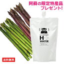 TVで紹介されました！【送料無料】＜豪華特産品 南阿蘇のアスパラガス1kgプレゼント＞南ASOの水素水 330ml 60本入くまモン パウチ ペット 水 ミネラルウォーター 天然水 シリカ 南阿蘇の水素水 ナノ水素水 ケイ素 熊本 サプリ 軟水 美容