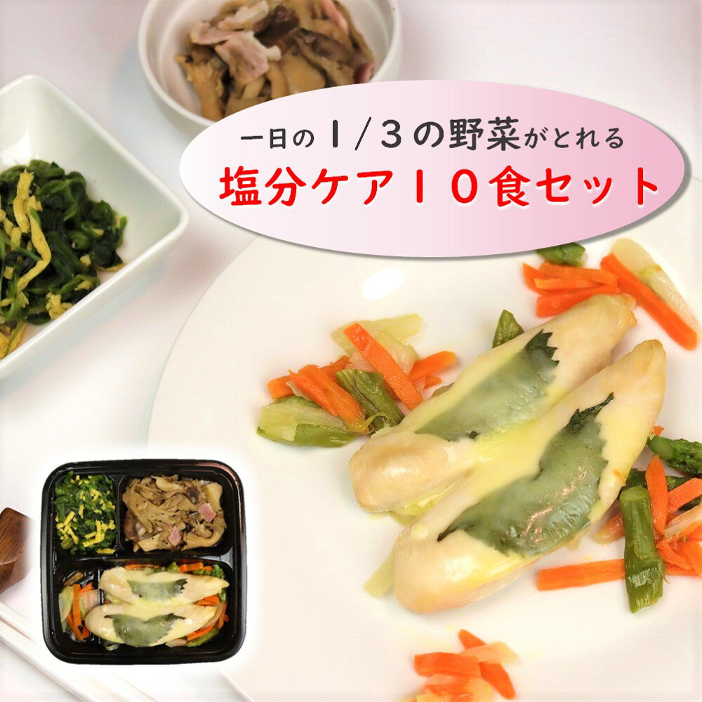 冷凍弁当 塩分ケア10食セット 【からだデリ 味の富士山】 （B-1,4,5,11,12,13,17,23,25,27） 塩分1.7g以下 一日の1/3の野菜がとれる 国立病院機構の管理栄養士が監修 宅配 惣菜 副菜 健康弁当