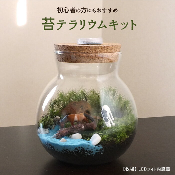 苔テラリウム 苔リウム コケリウム 盆栽 苔 手作り キット 巣ごもり おうち時間 ガーデニング 観葉植物 園芸 癒し ギフト 誕生日 プレゼント 初心者 スターターキット