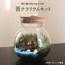 【牧場/LEDライト内臓蓋】苔テラリウム 苔リウム コケリウム 盆栽 苔 手作り キット 巣ごもり おうち時間 ガーデニング 観葉植物 園芸 癒し ギフト 誕生日 プレゼント 初心者 スターターキット【コンビニ受け取り/代金引換不可商品】【北海道・沖縄・離島への発送不可】