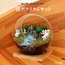 【羊の楽園】苔テラリウム 苔リウム コケリウム 盆栽 苔 手作り キット 巣ごもり おうち時間 ガーデニング 観葉植物 園芸 癒し ギフト 誕生日 プレゼント ...