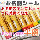 【対象商品同時購入限定】お名前シール シンプルタイプ 半額 おためし価格