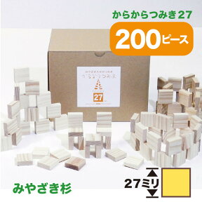 からからつみき27(200枚入) 積み木 おもちゃ 知育玩具 積み木 つみき 出産祝い 入園 入学 プレゼント ギフト 日本製 宮崎県産 木のおもちゃ 誕生日 からからつみき楽天市場店 おうち時間 STEAM 誕生日 みやざき杉 手作り 幼児 キッズ 3歳 4歳 5歳 6歳 無垢材 室内遊び