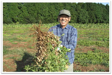 2019年 新豆 落花生 唐津花生 国産 無農薬 ピーナッツ 薄皮付き 素焼き 素煎り 無添加 ロースト 70g オレイン酸たっぷり 《3.980円以上 送料無料 》