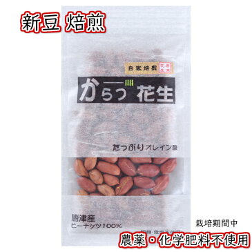 2019年 新豆 落花生 唐津花生 国産 無農薬 ピーナッツ 薄皮付き 素焼き 素煎り 無添加 ロースト 70g オレイン酸たっぷり 《3.980円以上 送料無料 》