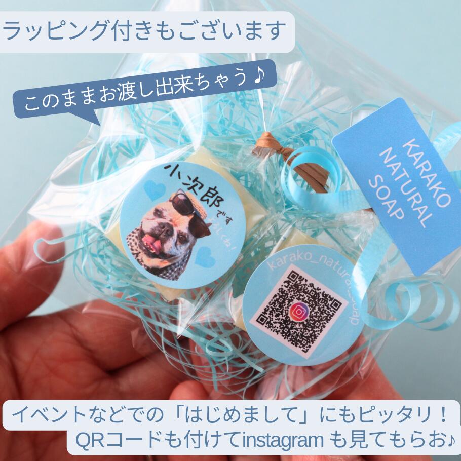 ��������˥������ʡ��ۤ����� �����λ� ���ꥸ�ʥ륮�ե� �̿� ���ꥸ�ʥ� �ץ��� �ץ쥼��� �ɥå������� �����и� �����и� �ɥå������ס� ��Ť����Ф��� ������ꥦ�������� ̵ź���и� �и� ���� ���� ���� ̵���� �ޤ䤱 ǿ��� �ѥԡ� ���˥���