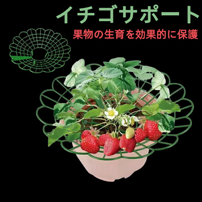 15個セットイチゴサポート イチゴ栽培用プラスチックサポートスタンド ちごプランター棚 腐った果実対策 組立簡単 家庭菜園 自宅栽培 農園用