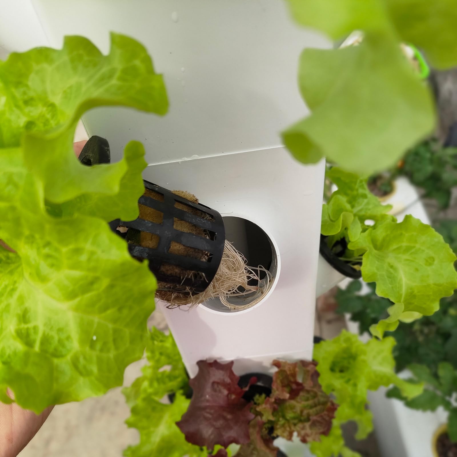 UMAYA-Select.TOKYOの水耕栽培タワー 水耕栽培 屋外 屋内 垂直ガーデン ポンプと可動水タンク付きスマートガーデンキット ガーデニング愛好家への野菜植物ギフト｜アングル2