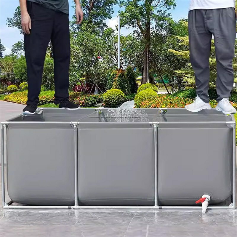 �ڥݥ����3��!12�����!Ź�ޤο͵�����!�ۥե졼��ס��� �ߥ˥ס��� �ʰץס��� �ޤꤿ���� �ߥ˥ե졼��ס��� �礭���ס��� ������ ���� �ޤ���ߥס���...