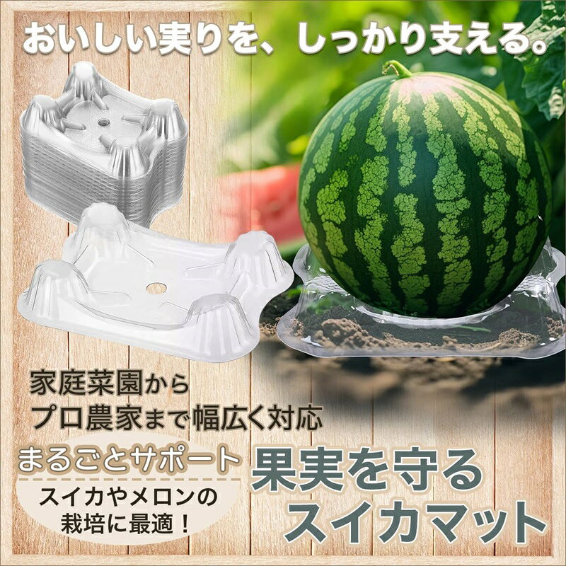 スイカトレイ スイカマット 敷き藁 台 園芸 栽培 皿 カボチャ メロン 受け皿