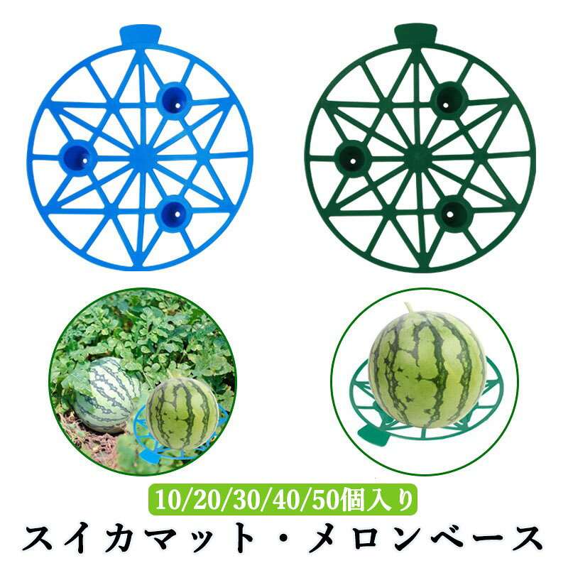 メーカー希望小売価格はメーカーカタログに基づいて掲載しています【高品質 PP 素材・丈夫で長持ち】高品質PP樹脂を採用し、適度な柔軟性と強度を両立。積み重ね収納が可能で保管に便利、繰り返し再利用でき経済的です。頑丈な3本足構造で設置時の安定性に優れ、長期間の園芸使用に耐えます。 【地面接触回避・腐敗・カビ防止】果実を地面から浮かせて設置することで、湿気や土壌による腐敗、傷み、カビの発生を抑制。雨天が続く栽培環境でも、スイカ・メロンなどを清潔に保ちます。 【通気性向上・健全な栽培をサポート】果実下部の空気循環を良好に保ち、湿気を逃がして通気性を確保。果実の健全な生育を促し、品質の良い収穫につなげます。 【リサイクル可能・環境に配慮】環境に優しいリサイクル対応プラスチック素材を使用。有害物質を含まず安心安全、劣化しにくく破損しにくい設計で、長く繰り返し活用できます。 【汎用性抜群・各種大型果物に対応】約 20cmの適度なサイズ設計で、メロン・スイカ・カボチャ・カンタロープなど様々な大型果実に対応。家庭菜園や農園栽培など幅広いシーンで活用可能です。
